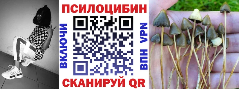 Псилоцибиновые грибы Magic Shrooms  цены наркотик  Чадан 