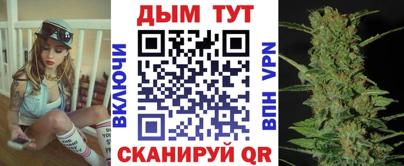 Канабис SATIVA & INDICA  omg зеркало  Чадан  купить наркотик 